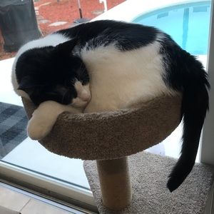 Meet your Posher, Patty